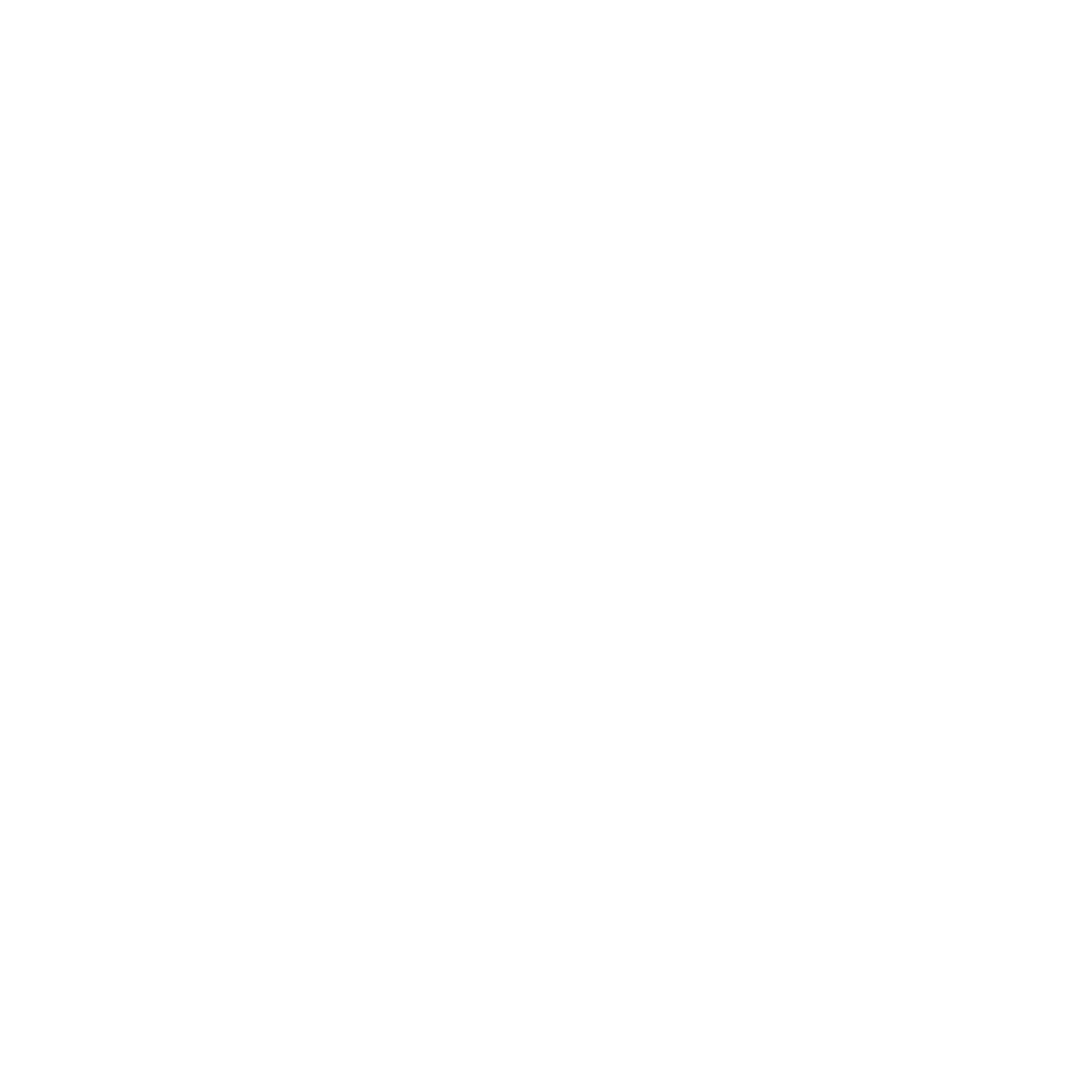 לוגו פרויקט בית שמש